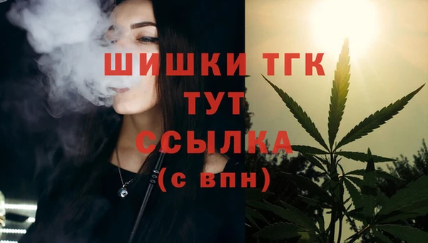 тгк Горно-Алтайск