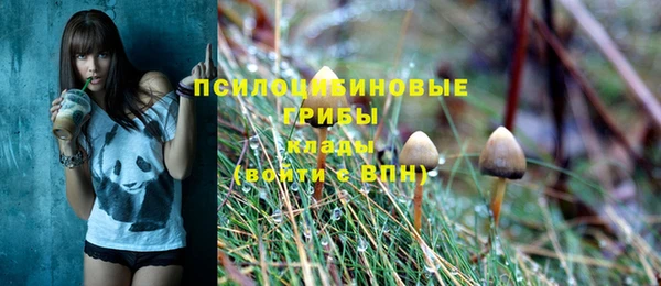 дурь Вязники