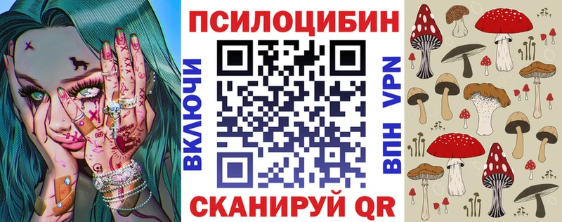 даркнет сайт  Гусь-Хрустальный  дарк нет как зайти  Псилоцибиновые грибы Psilocybe 